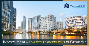 Beyond Transactions: Understanding the Crucial Role of a Real Estate Consultant