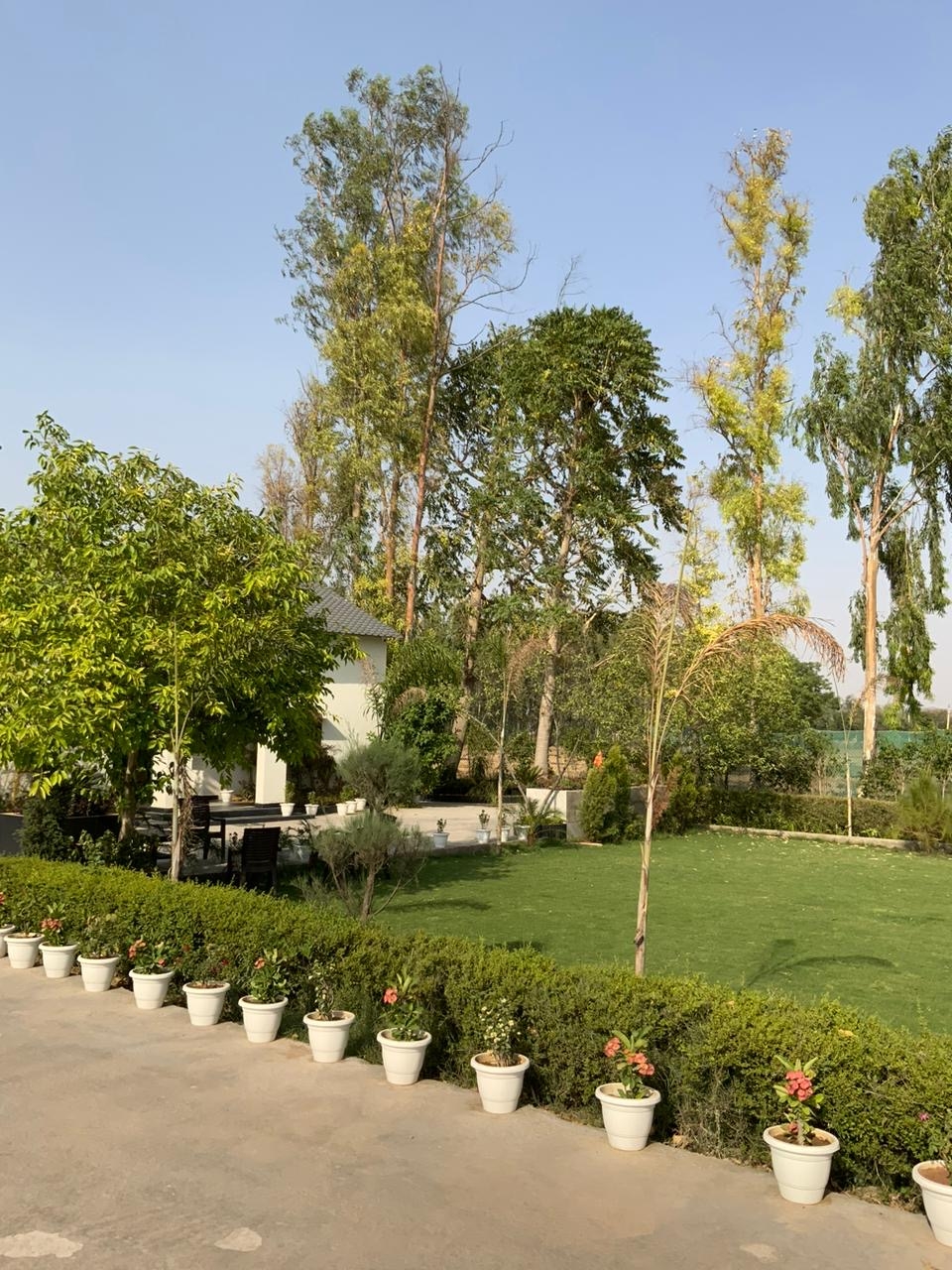 Luxury Farmhouse For Sale